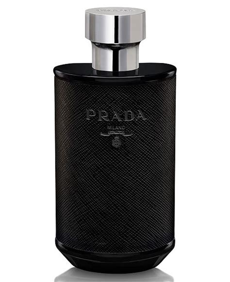 prada l homme intense macy's